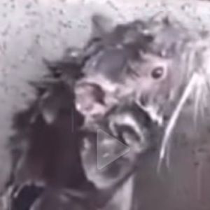 Meet your Posher, Amariah